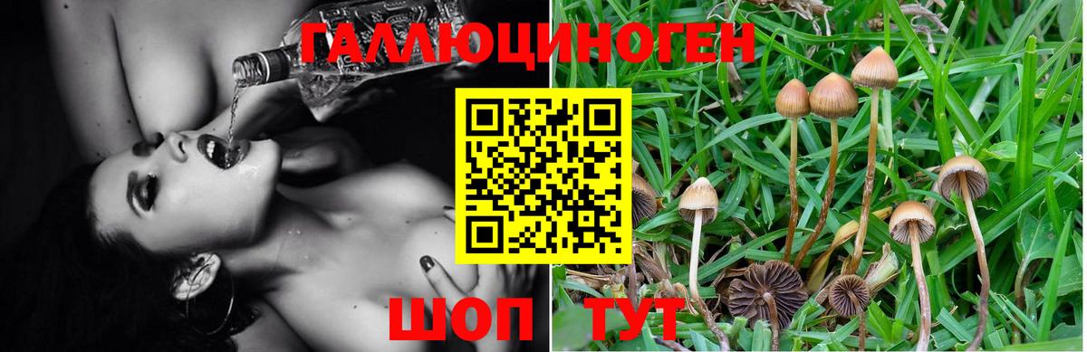 Трёхгорный  Псилоцибиновые грибы ЛСД  Вход с VPN 